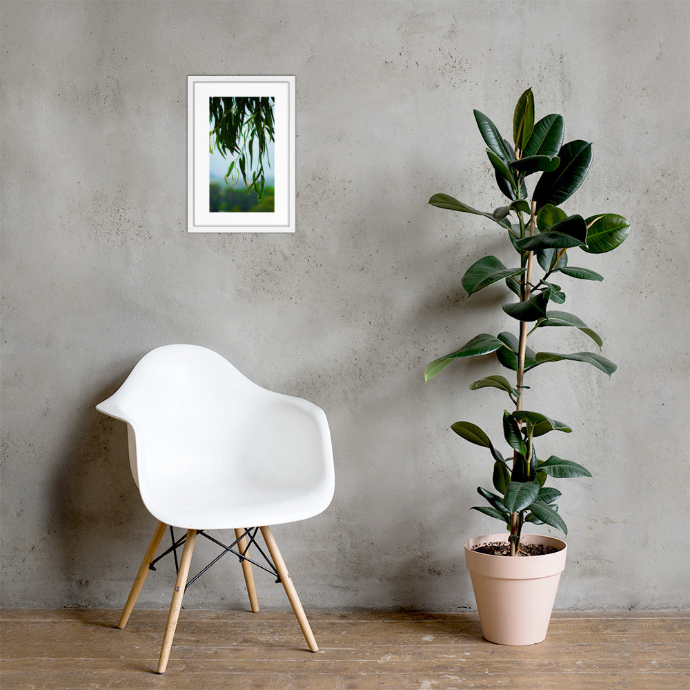 Plant Framed photo paper poster