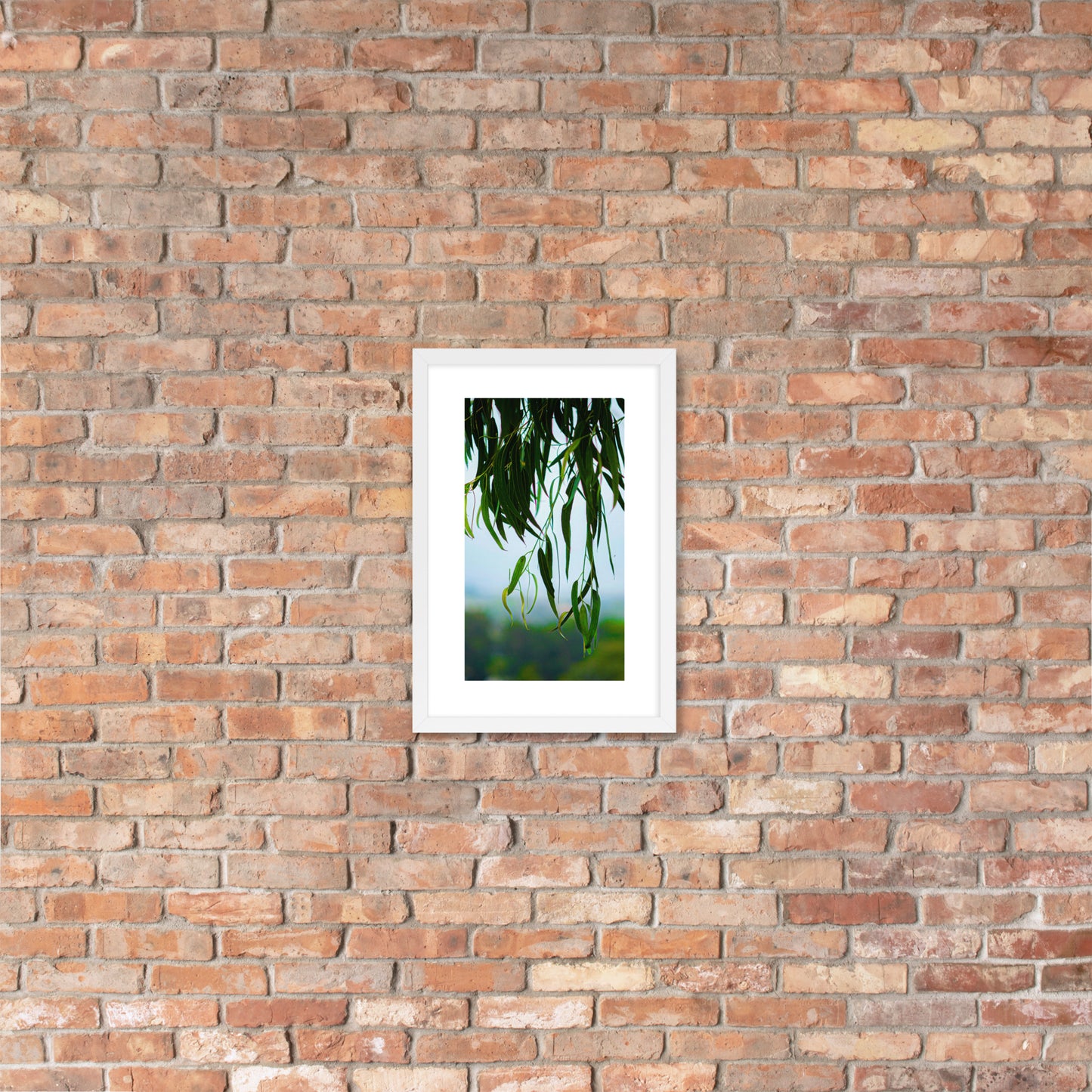 Plant Framed photo paper poster