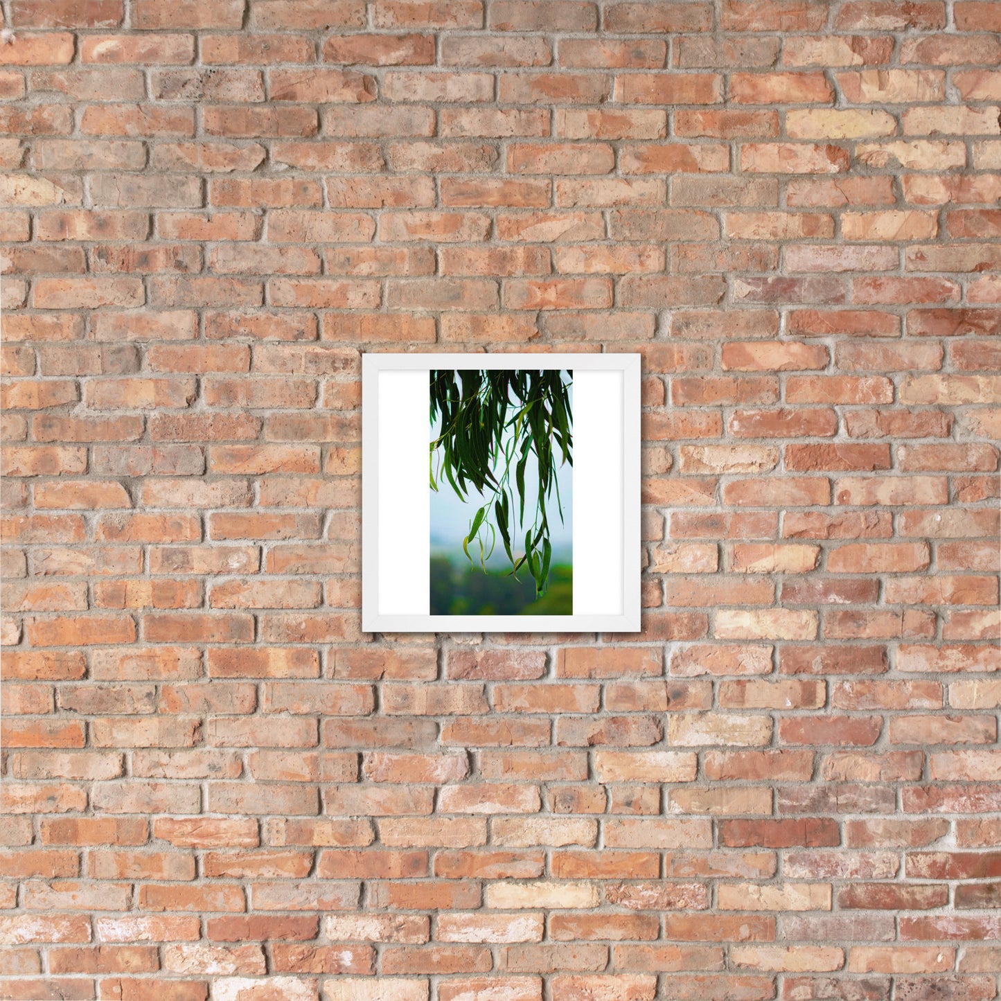 Plant Framed photo paper poster