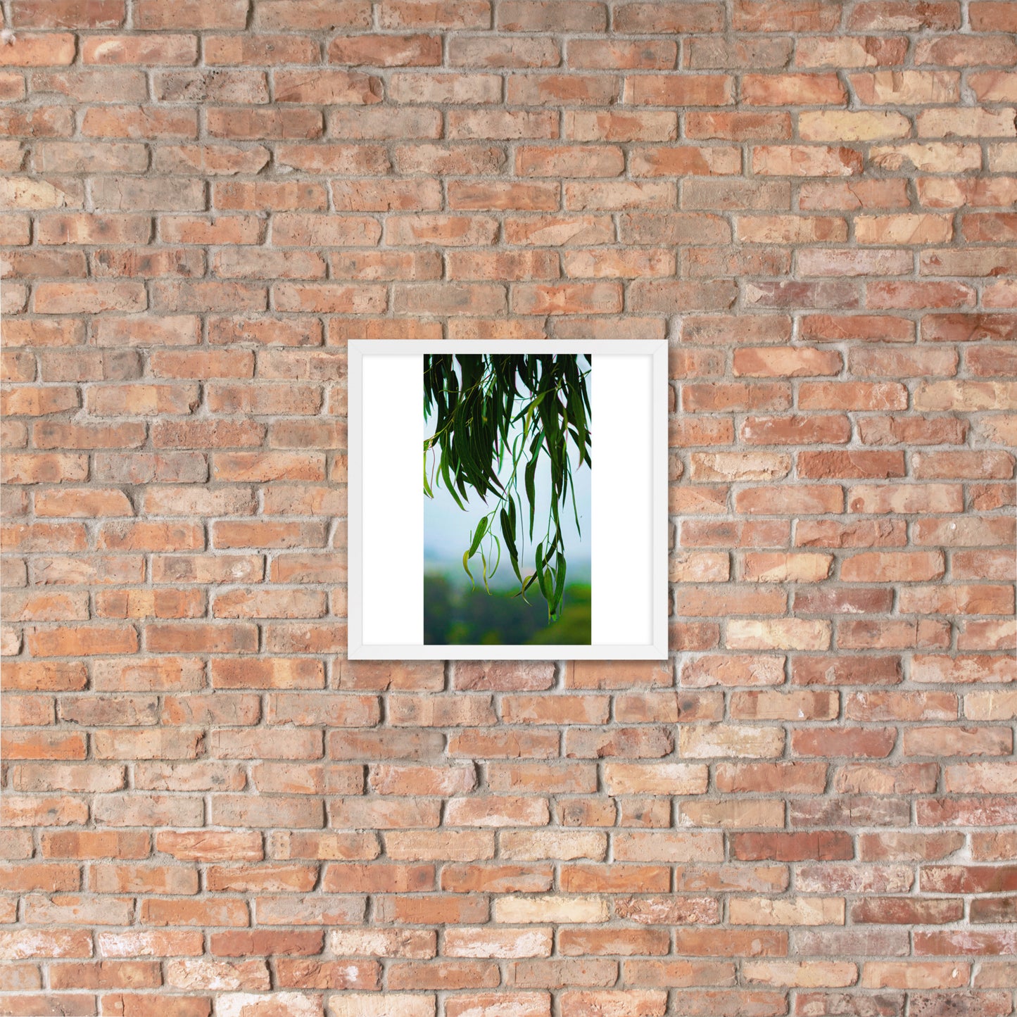 Plant Framed photo paper poster