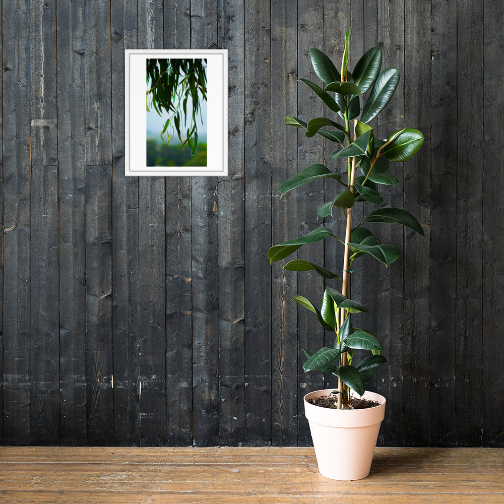 Plant Framed photo paper poster