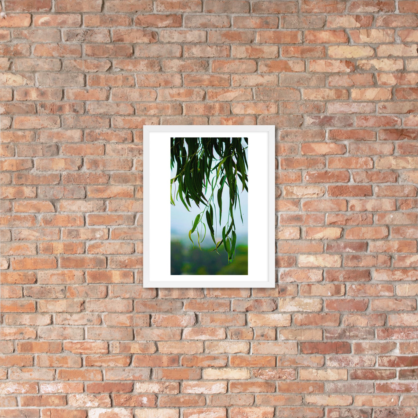 Plant Framed photo paper poster