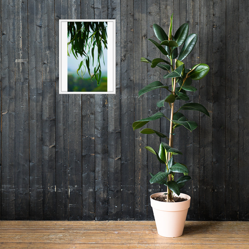 Plant Framed photo paper poster