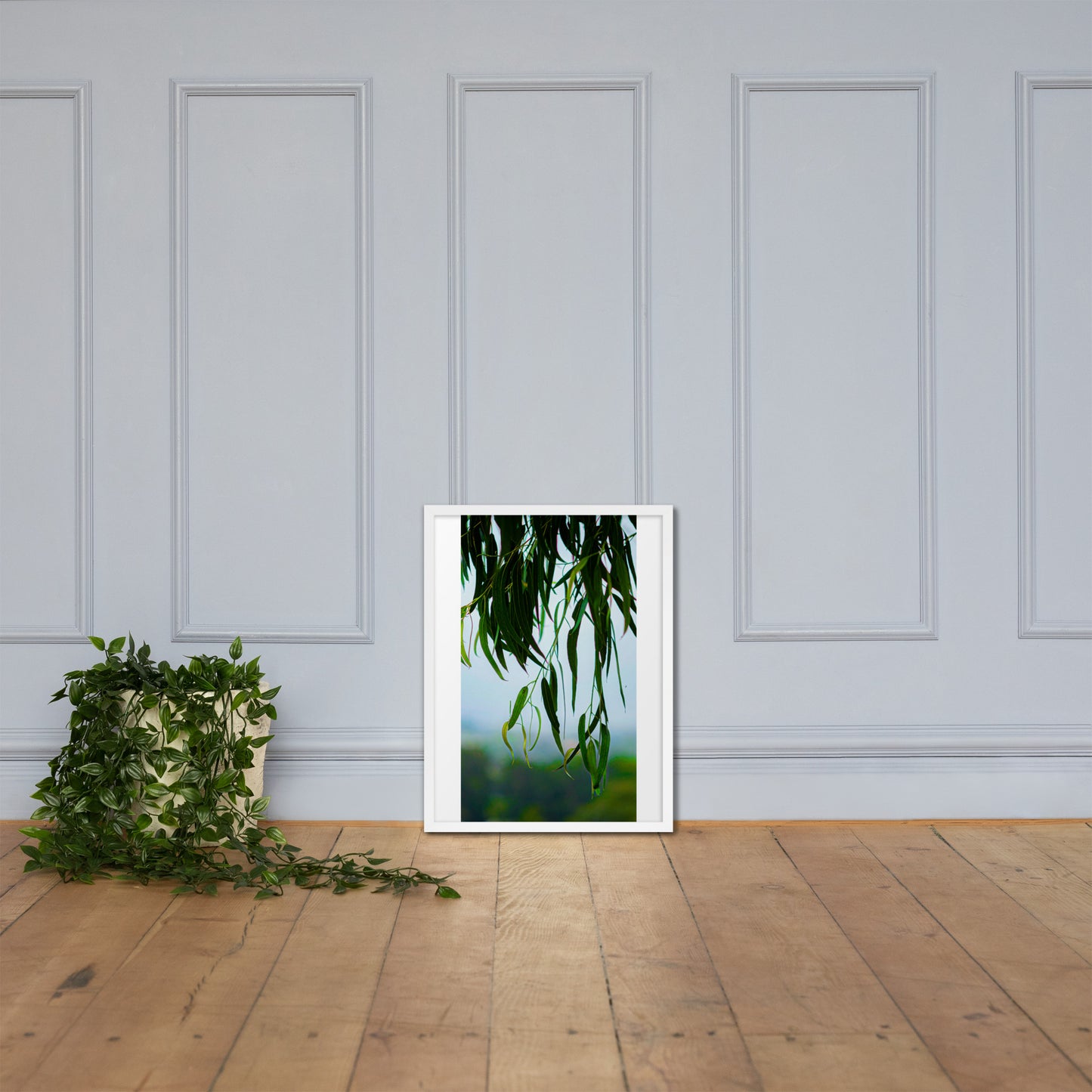 Plant Framed photo paper poster