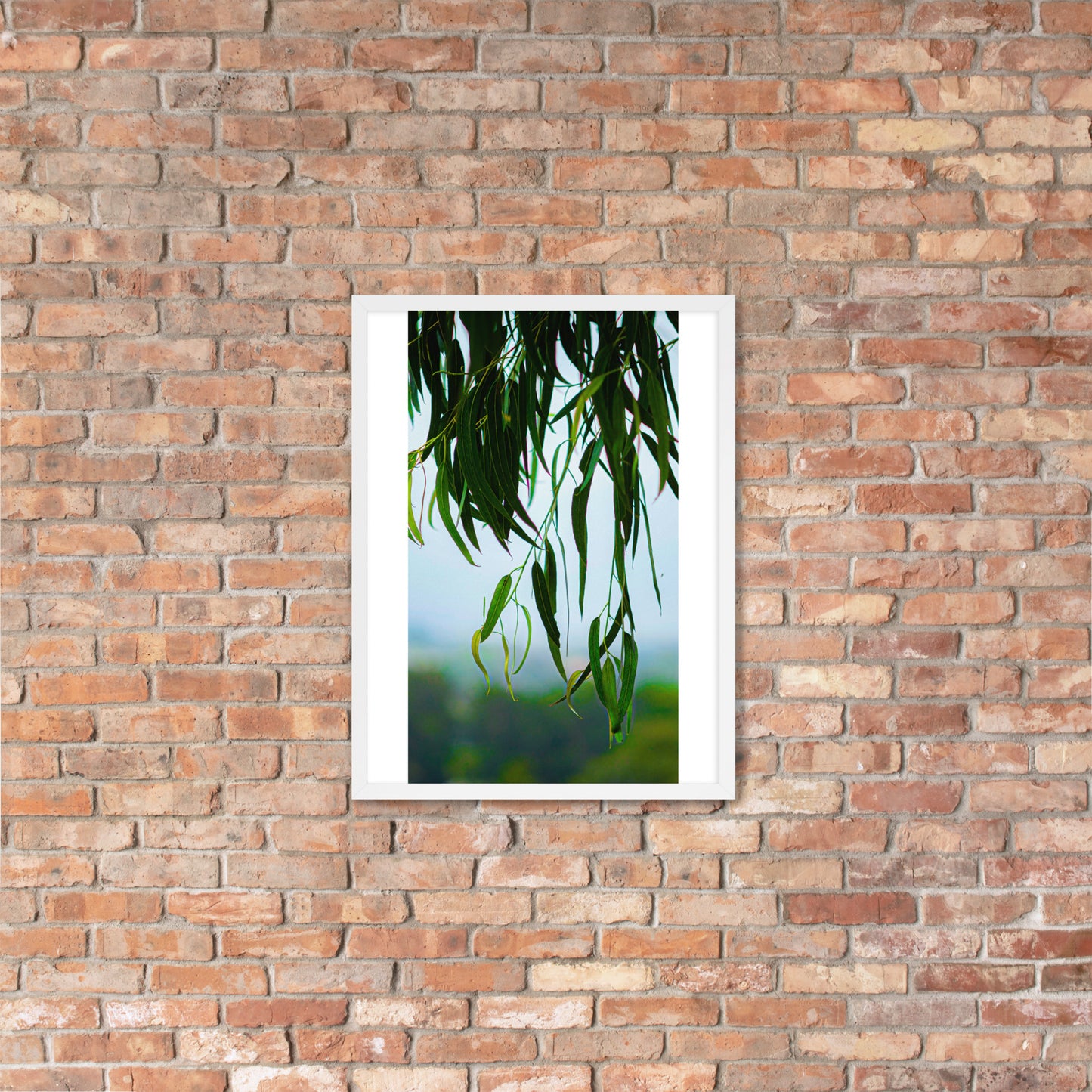 Plant Framed photo paper poster