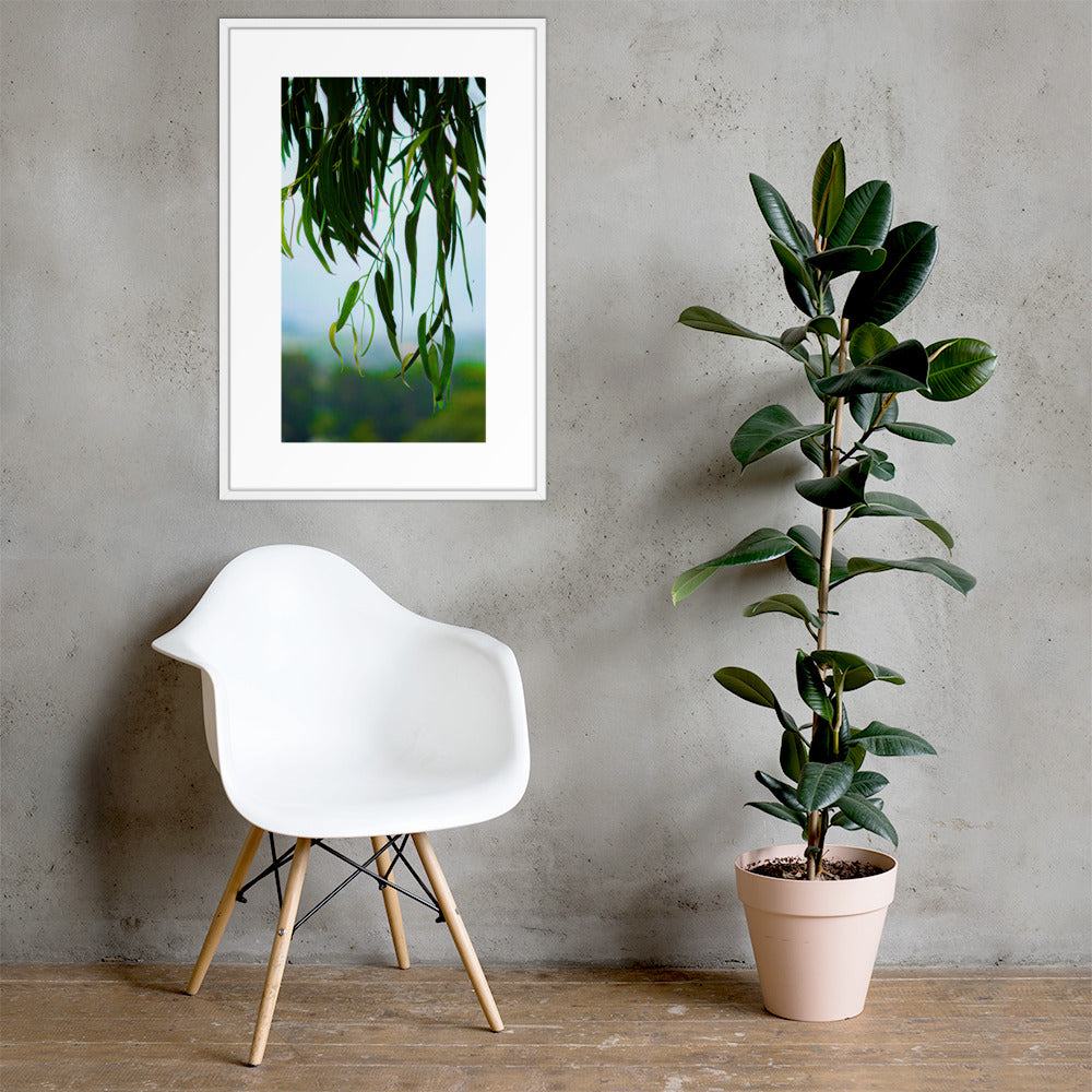 Plant Framed photo paper poster