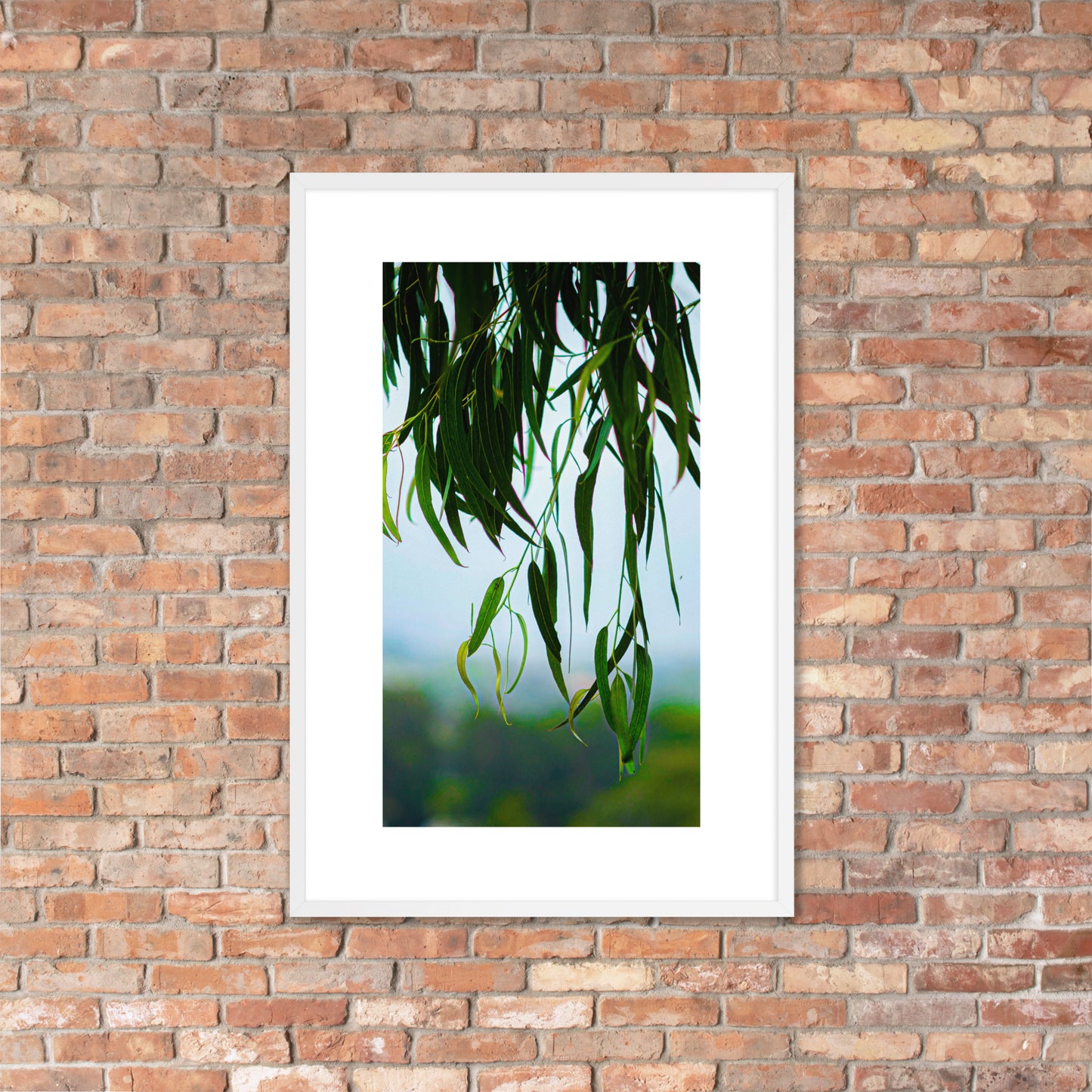 Plant Framed photo paper poster