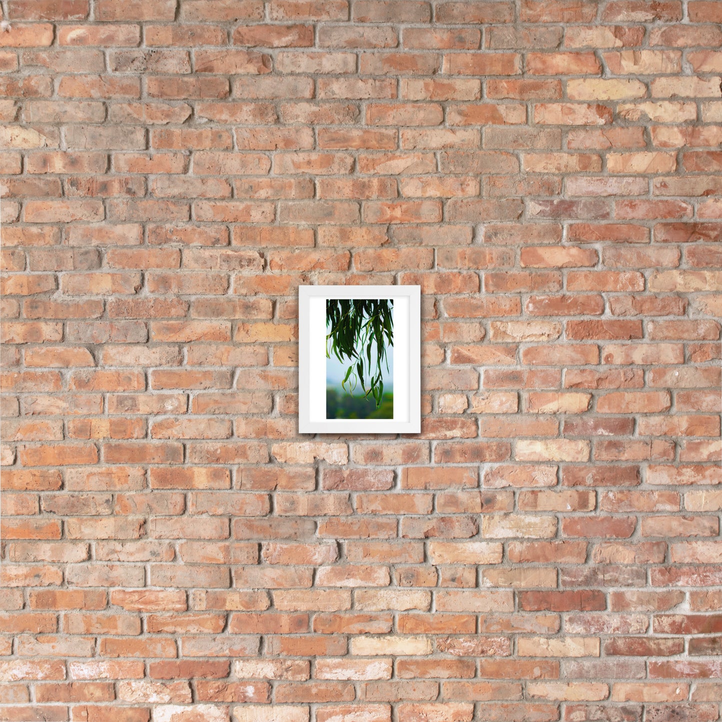 Plant Framed photo paper poster